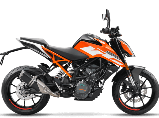 FAZLA SÖZE GEREK YOK